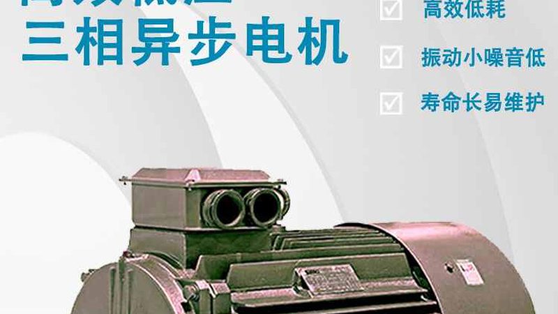 上海直流电机：揭秘其工作原理与选型要点